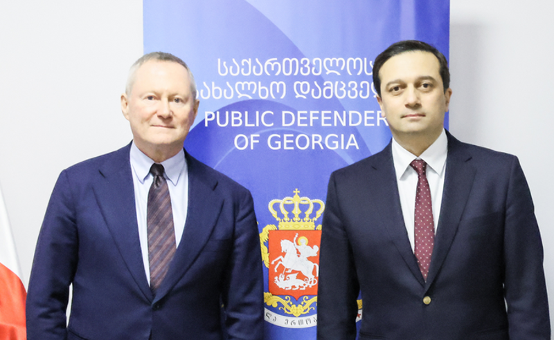 იოსელიანი ევროპის საბჭოს ადამიანის უფლებათა კომისარს შეხვდა