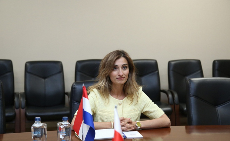 ნიდერლანდების ელჩი: შემაშფოთებელია - დემონსტრანტების, ჟურნალისტების, პოლიტიკოსების წინააღმდეგ ძალადობა გამოუძიებელი დარჩა