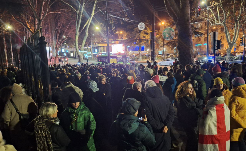 მათე დევიძის და ანდრო კვარაცხელიას მხარდამჭერი აქცია თსუ-სთან