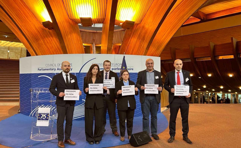 არასამთავრობოებმა  ევროსაბჭოს საპარლამენტო ასამბლეაზე მზია ამაღლობელს სოლიდარობა გამოუცხადეს და მისი გათავისუფლება მოითხოვეს