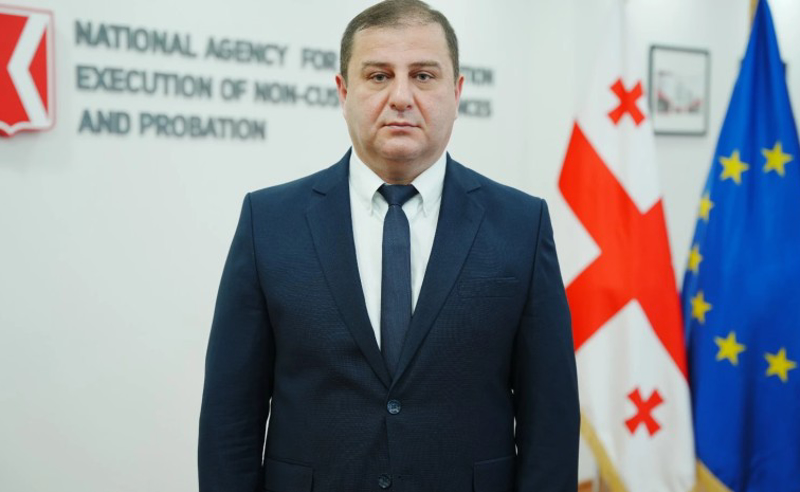 პრობაციის სააგენტოს ხელმძღვანელად ბესიკ მეურმიშვილი დაინიშნა