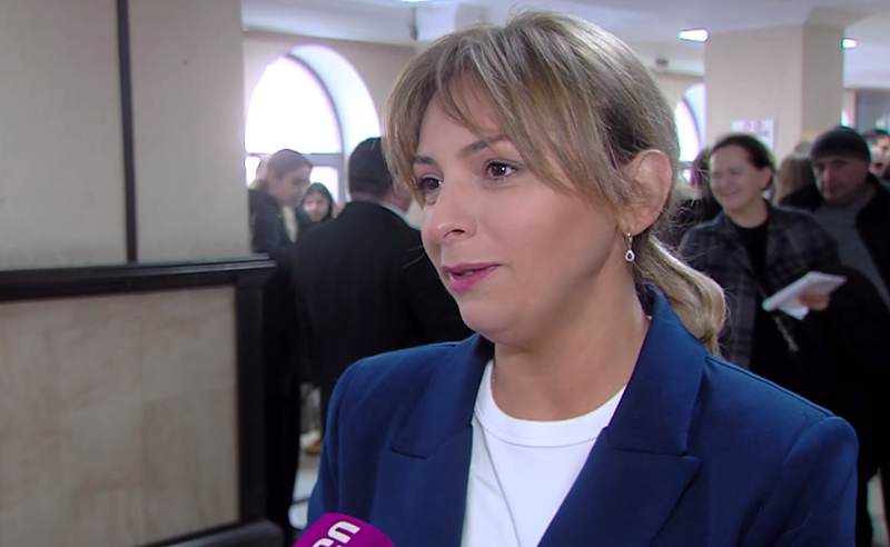 ანა ტყებუჩავას საქმეზე გადაწყვეტილება 18 თებერვალს გამოცხადდება