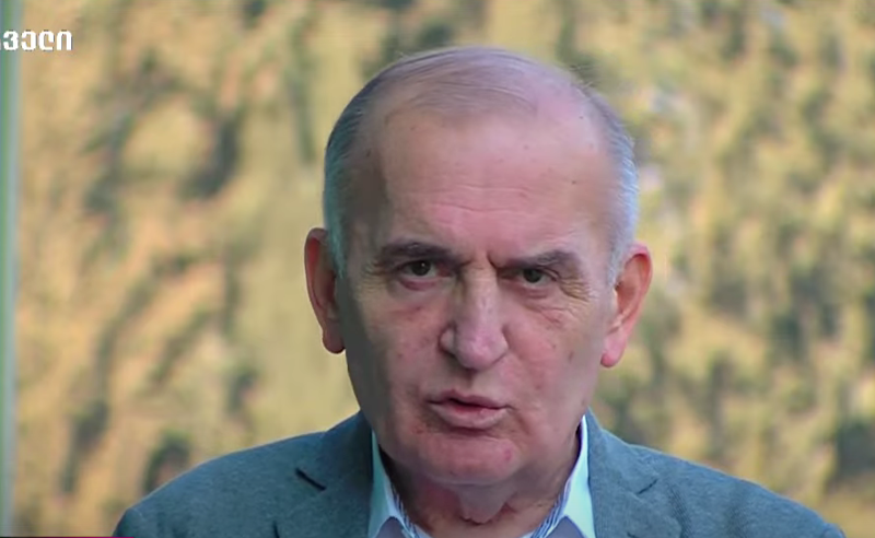 მზია ამაღლობელის შიმშილობის ყოველი დღე, ორგანოების ფუნქციების მოშლის დიდი რისკია - ზურა ჩხაიძე