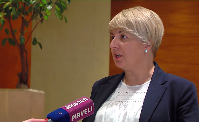 "აქციებზე დგომის გამო იუსტიციიდან გამიშვეს" - საჯარო მოხელეები პრეზიდენტ ზურაბიშვილს ხვდებიან