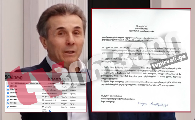 ივანიშვილმა ქონებების გადაფორმების მესამე სპეცოპერაცია დაიწყო - ოლიგარქი ოფშორებიდან აქტივებს პირდაპირ მის სახელზე იფორმებს