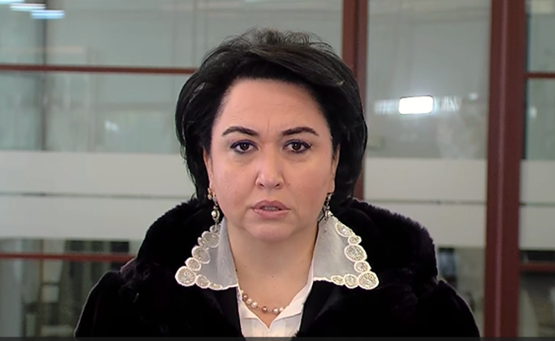 პრეზიდენტს დაზიანება სახის არეში აღენიშნება, რაც დანაშაულს ამძიმებს - ეკა ბესელია 