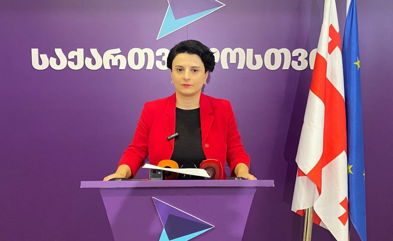 გახარიაზე და ზურაბიშვილზე თავდასხმა ივანიშვილის ბრძანება იყო - მეზვრიშვილი 