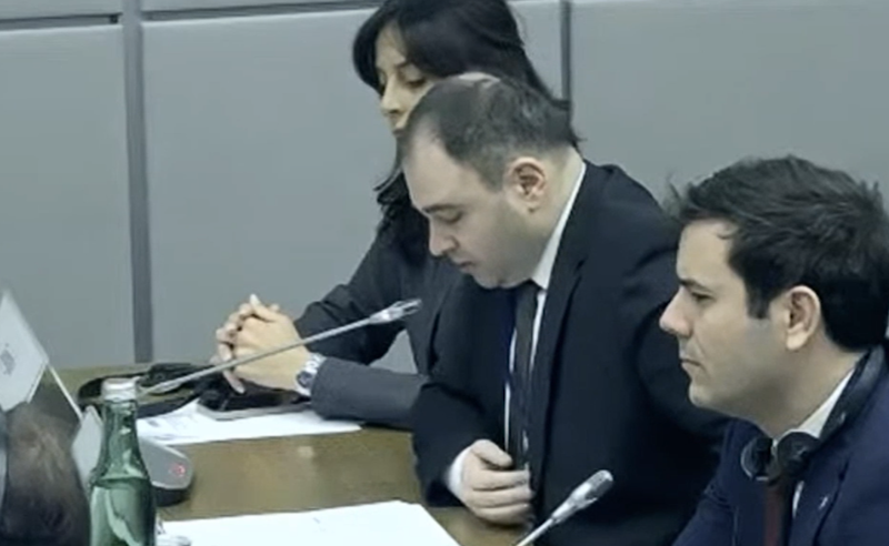 ეუთოს კრიტიკული შეფასება - სამხარაძის მტკიცებით, უილსონი “გადაუმოწმებელ ინფორმაციებს“ ავრცელებდა