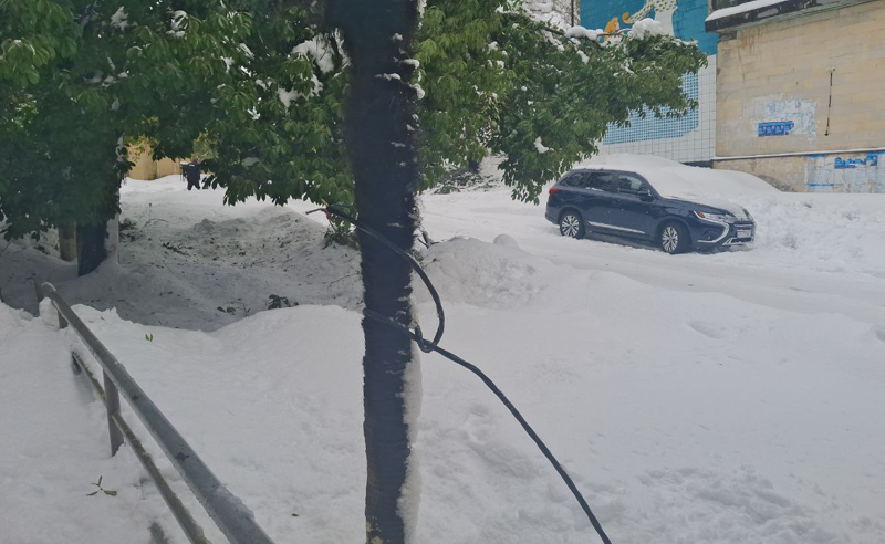 ოზურგეთის ქუჩებში ურნებს ნაგვისგან ვერ ცლიან - გზებზე ყრია ელექტროსადენები