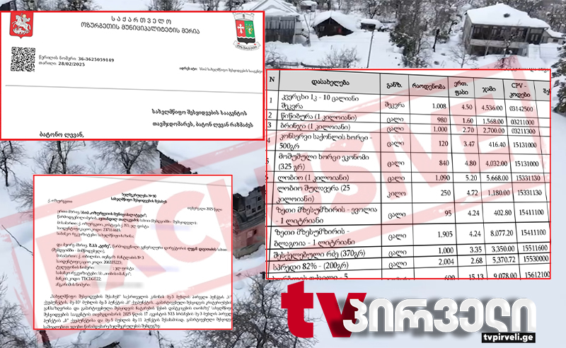 რა შეეძლო და რა არ გააკეთა რეჟიმმა - "ოცნებამ" თოვლში ჩარჩენილი ადამიანების დახმარებაზე ფიქრი 6 დღის დაგვიანებით დაიწყო