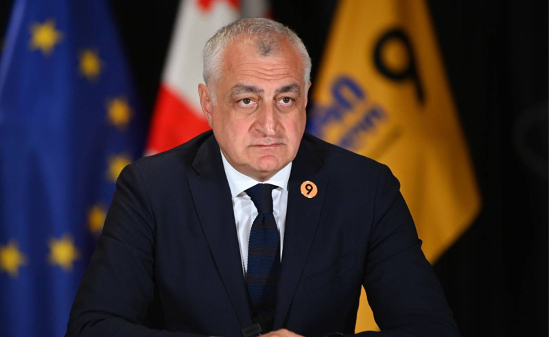 მამუკა ხაზარაძე: აუცილებელია, შეერთებული შტატების ინვესტიციები ანაკლიაში სასწრაფოდ დაბრუნდეს!