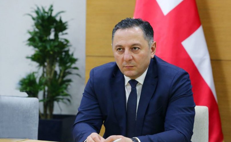 24 გამარტივებული შესყიდვა 1 წელში - გომელაურის უწყება ხალხის ფულის არამიზნობრივ ხარჯვაშია მხილებული
