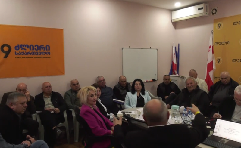 დევნილებისა და ომის ვეტერანების მძიმე ცხოვრება - "ძლიერი საქართველო" საკითხის განსახილველად გორში ჩავიდა