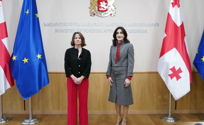 ექსპერტები ვარაუდობენ, რომ ელჩმა "ოცნების" მინისტრს ვაშინგტონის დათქმები გადასცა