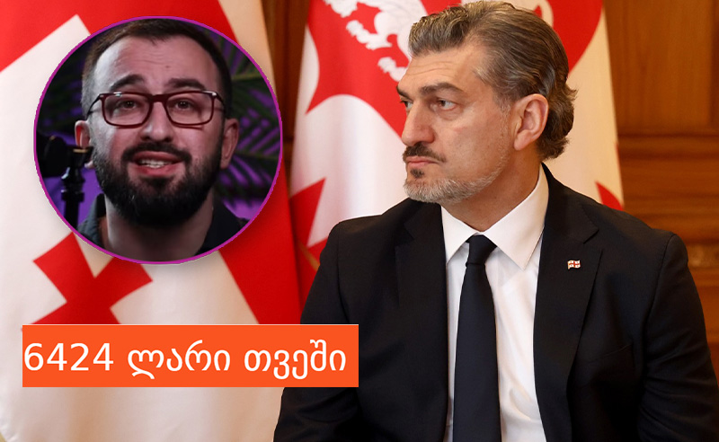 ვინ არის მიხეილ ყაველაშვილის მრჩეველი, ვისაც თვეში 6424 ლარს უხდიან