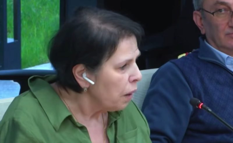 “მასონური ლოჟაა ამ ყველაფერში ჩარეული" - რა ხდებოდა საზოგადოებრივი მაუწყებლის საბჭოს სხდომაზე