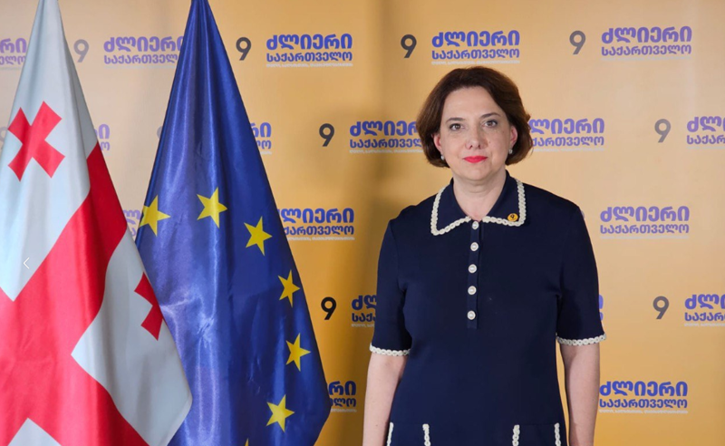 რუსული კომისია ცდილობს, მოამზადოს საფუძველი, სადაც საქართველოს სახელმწიფოს ბრალეულობა დადგინდება - სამადაშვილი