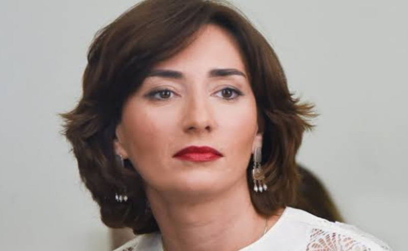 ეკა გიგაური: "პოლიციის განყოფილებაში ერთობიან იმით, რომ დაკავებულებს აშიშვლებენ"