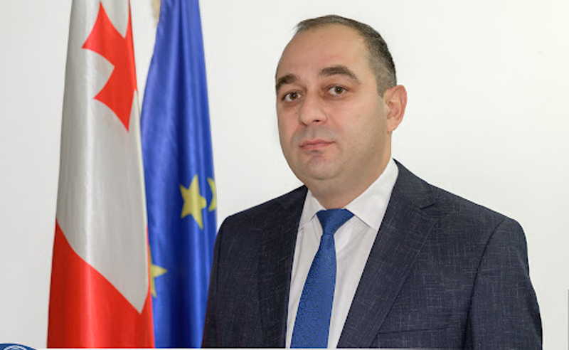 ვინ არის საკონსტიტუციო სასამართლოს ახალი მოსამართლე რევაზ ნადარაია