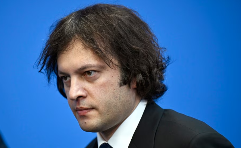 კონკრეტულ ქვეყნებში ქართველი ელჩები უსაქმოდ არიან დარჩენილნი - კობახიძე