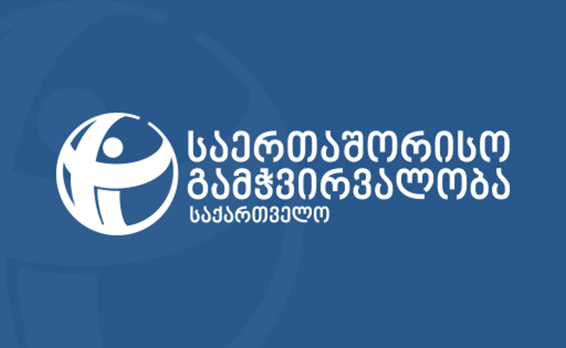 „საზოგადოებრივი მაუწყებლიდან“ ჟურნალისტების გათავისუფლება კრიტიკული აზრის დევნის მორიგი მაგალითია - TI