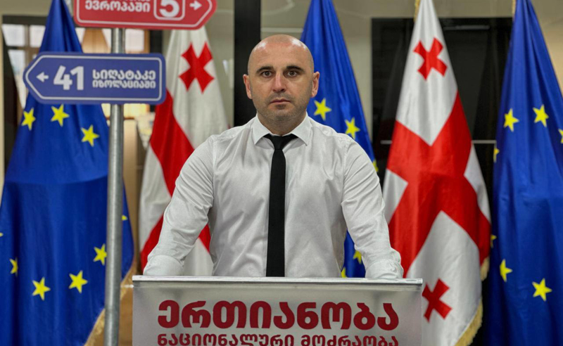 "ერთი ადგილი არ ეყო მდინარაძეს" - ხაბეიშვილი "ოცნების" ინიციატივაზე