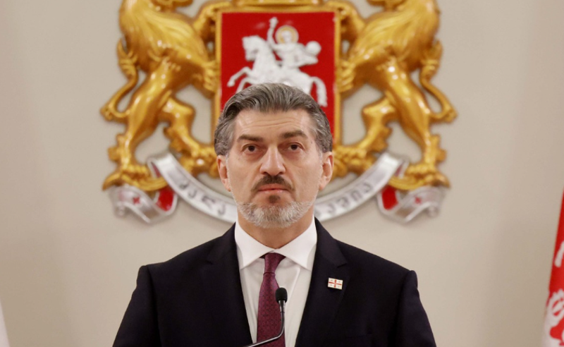 ყაველაშვილმა "გრანტების" კანონს ხელი მისი დამტკიცებისთანავე მოაწერა