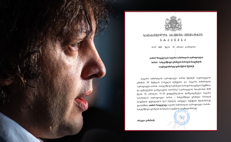 კობახიძემ სახელმწიფო გრანტის მართვის სააგენტო თამარ ზოდელავას ჩააბარა