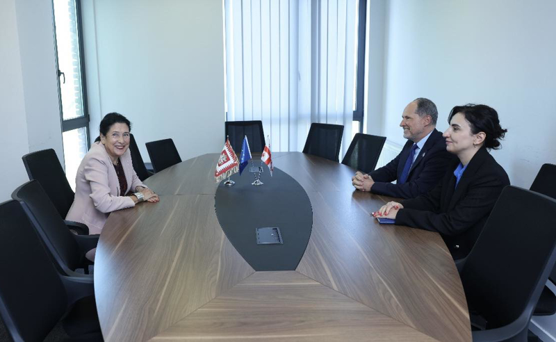 სალომე ზურაბიშვილი  ევროკავშირის ელჩს შეხვდა