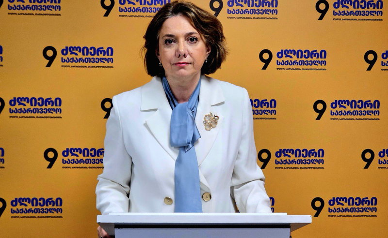 რუსულ რეჟიმს საზოგადოების გატეხვა და მათთვის ევროპული მომავლის წართმევა უნდა - სამადაშვილი ჩხრეკებზე