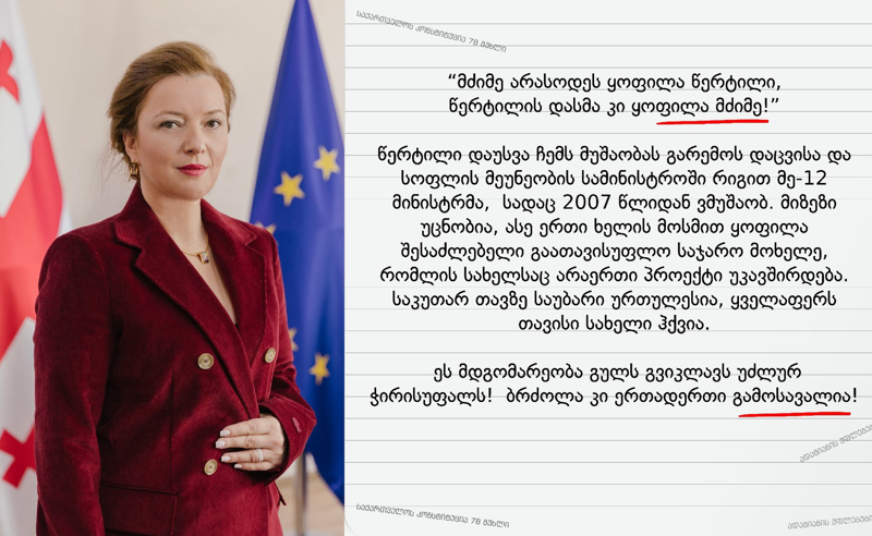 ეკატერინე ბენდელიანი გარემოს დაცვის სამინისტროდან გაათავისუფლეს