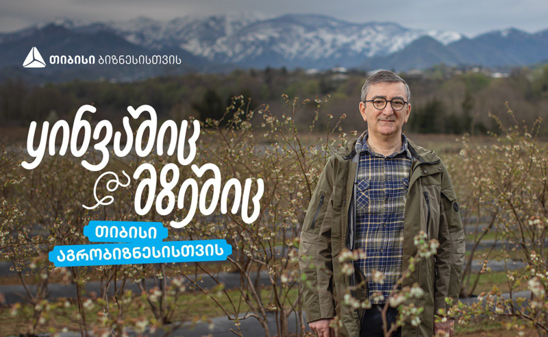 თიბისი აგრობიზნესისთვის - აჭარული  ლურჯი მოცვის მოგზაურობა დასავლურ ბაზრებზე 
