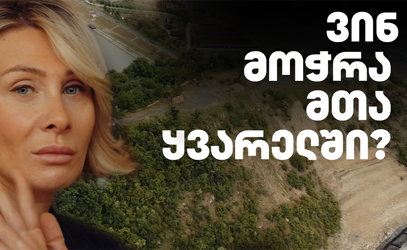 ვინ მოჭრა მთა ყვარელში? - ჟურნალისტური გამოძიება