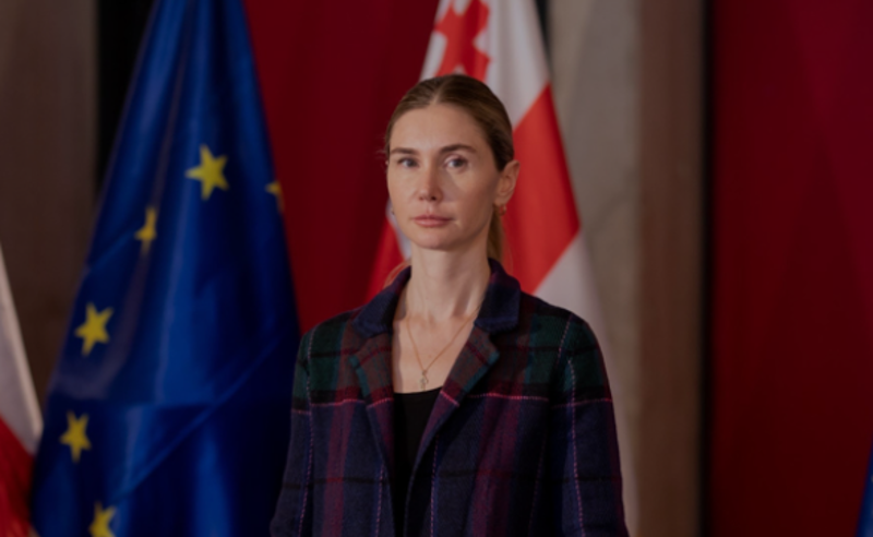 "MEGOBARI ACT"-ი ივანიშვილის რეჟიმზე საერთაშორისო წნეხს გაზრდის - ბოკუჩავა
