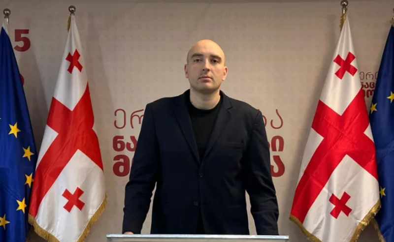 ფარცხალაძე წითელ მოედანზე ივანიშვილის რეჟიმის წარმომადგენლის სტატუსით იმყოფებოდა - ფავლენიშვილი