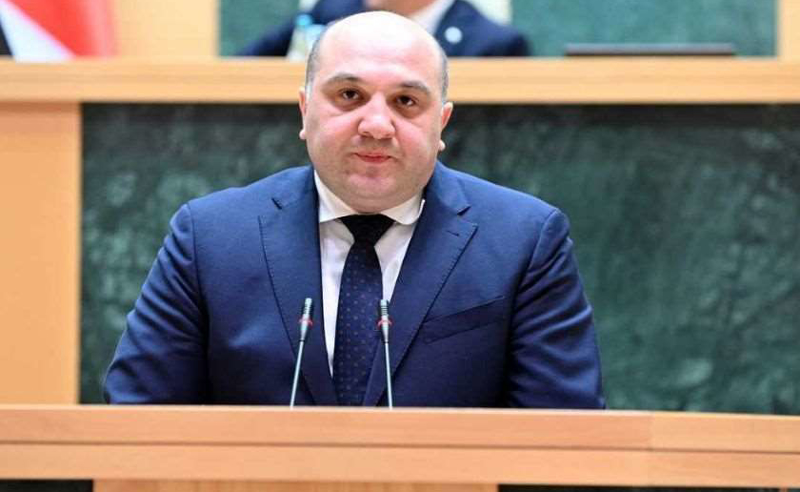 შსს უცხოელებს, რომლებიც აქციების დროს წესებს დაარღვევენ, ქვეყნიდან გაძევებით ემუქრება - ახალი საკანონმდებლო ინიციატივა