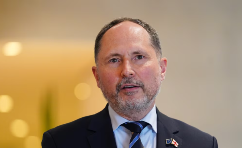 პოლიტიკური ოპოზიციის აკრძალვა არ არის ევროპული გზა - ევროკავშირის ელჩი