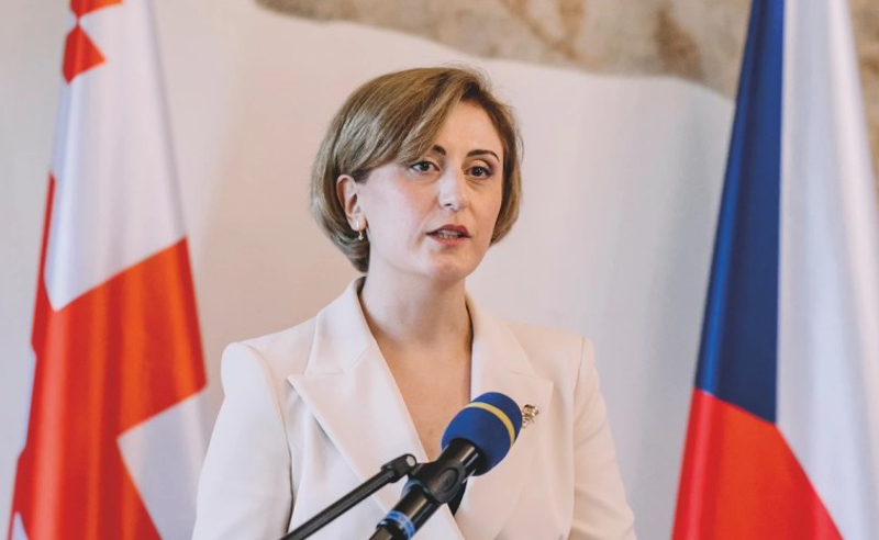 „რეჟიმისთვის მიუღებელია ყველა, ვინც ემსახურება ეროვნულ ინტერესებს“ - ჩეხეთში საქართველოს ყოფილი ელჩი პოლოლიკაშვილზე