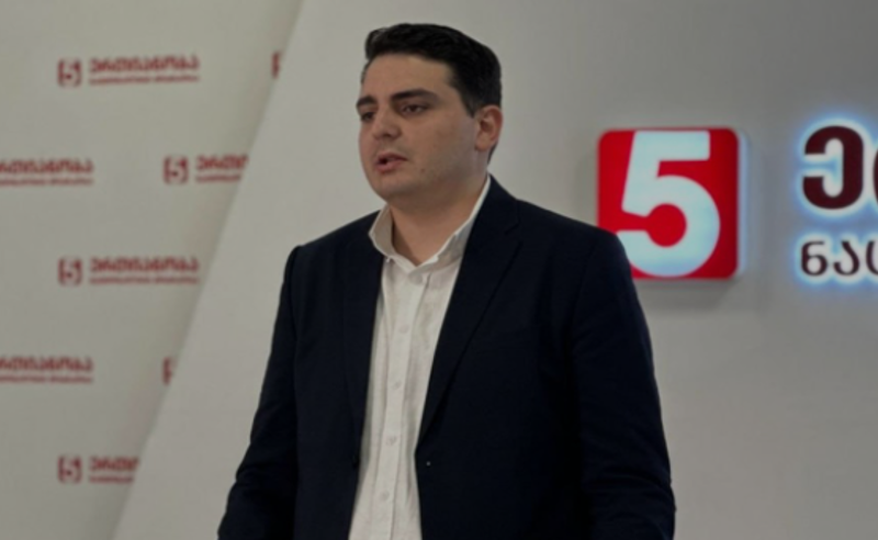 "ერთი დღე მაკრონს ყველანაირ უკადრებელს აბრალებდე და მერე მთელი შენი პროპაგანდა მუშაობდეს, რომ მან მე ხელი ჩამომართვა, ეს არის ქოცური სახე" - სანიკიძე