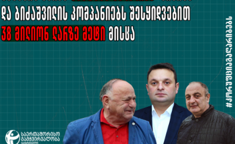 TI: სენაკის მერმა ბიძისა და ბიძაშვილის კომპანიებს 38 მილიონ ლარზე მეტის ტენდერები მოაგებინა