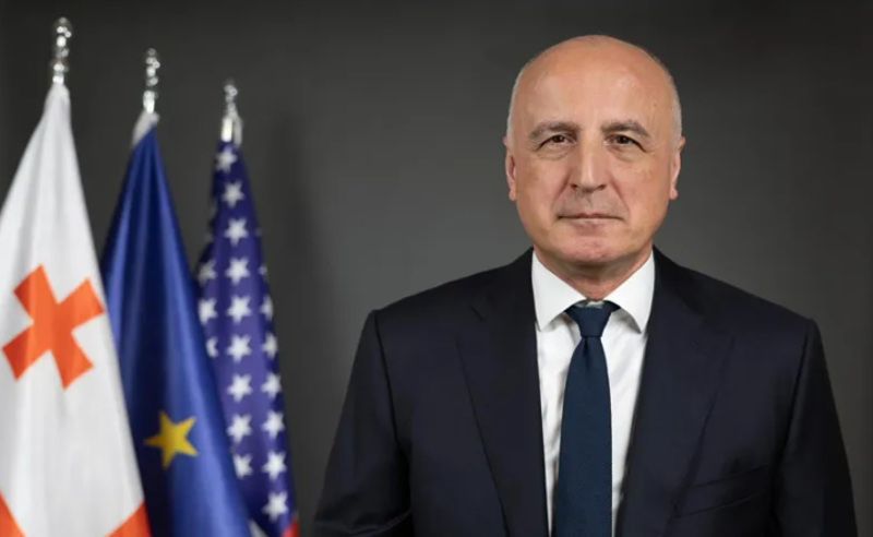 ბადრი ჯაფარიძე: ანტიამერიკული მთავრობა დიდ საფასურს გადაიხდის 