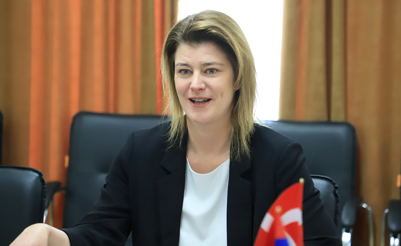 ზურაბ ჯაფარიძის წინააღმდეგ მიღებული არაპროპორციული ზომების გამო დანია ღრმა შეშფოთებას გამოხატავს - ელჩი 