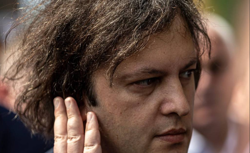 კობახიძე ისევ თავებს ითვლის: " გუშინ აქციაზე 3000 კაცი იდგა"
