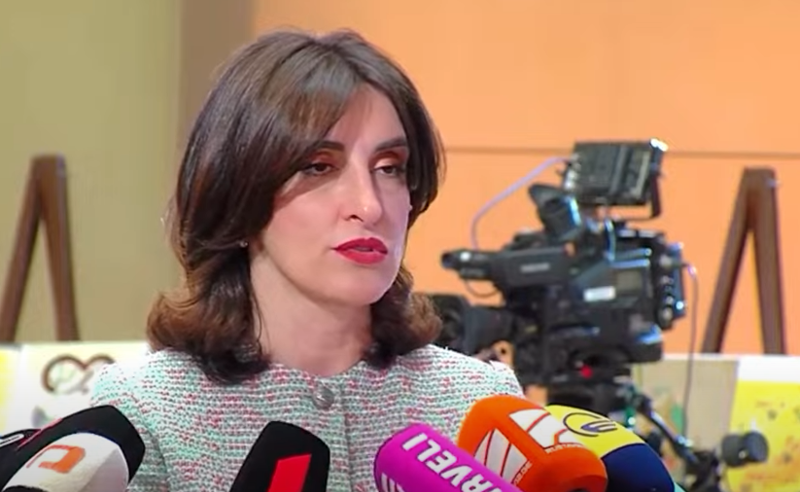 ბოჭორიშვილი მაკრონის, მერცის და ტუსკის ერთობლივი განცხადებით უკმაყოფილოა
