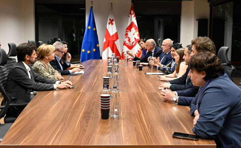 "წინააღმდეგობის პლატფორმის" წარმომადგენლები ევროპარლამენტარებს შეხვდნენ