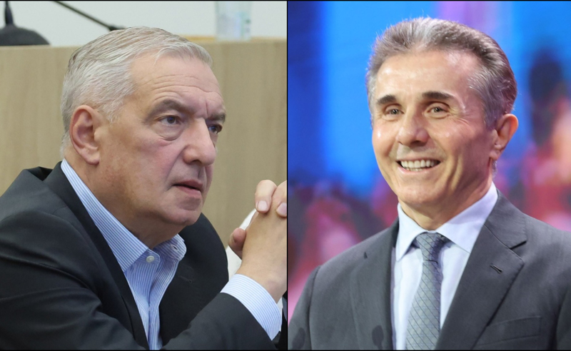 არ გვაქვს საფუძველი, ივანიშვილის სიტყვებში ეჭვი შევიტანოთ - გია ვოლსკი