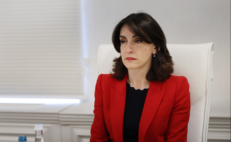 რას ამბობს მაკა ბოჭორიშვილი სტივ დეინსთან შეხვედრის შემდეგ