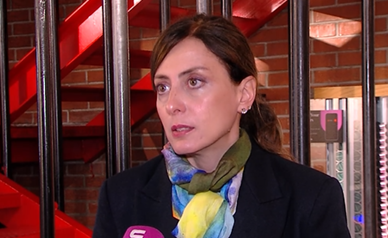 ბაჩიაშვილის გატაცება ივანიშვილის გადაწყვეტილება იყო - დეკანოიძე