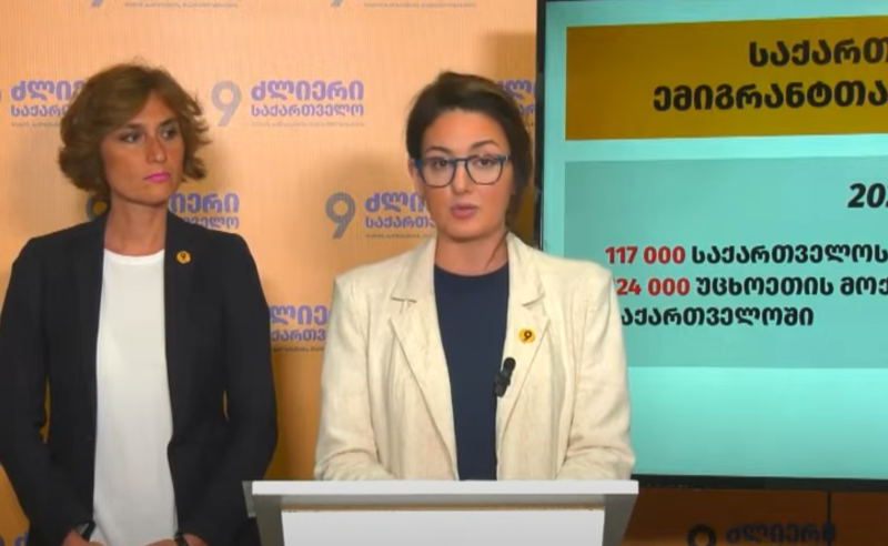 საქართველო დემოგრაფიული კატასტროფის წინაშეა - "ძლიერი საქართველოს" ბრიფინგი