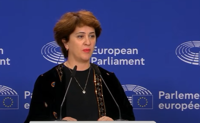 ევგენიძე: რუსეთის მოკავშირე მთავრობა საკუთარი ქვეყნის ევროპული მომავლის საბოტაჟს ეწევა